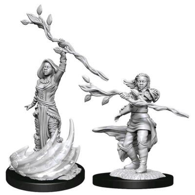 D&D Nolzur's Marvelous Miniatures - Human Druid